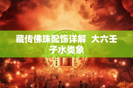 藏传佛珠配饰详解  大六壬子水类象