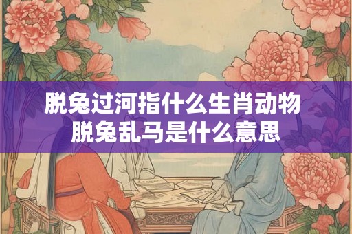 脱兔过河指什么生肖动物 脱兔乱马是什么意思