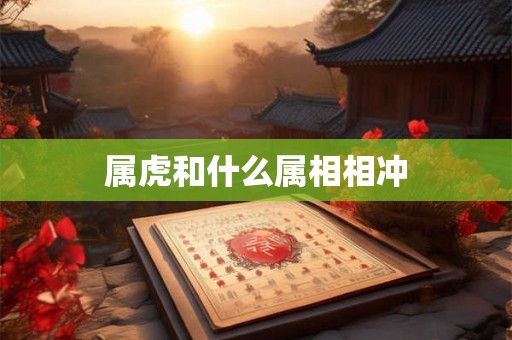 属虎和什么属相相冲
