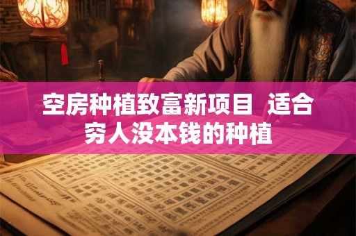 空房种植致富新项目  适合穷人没本钱的种植