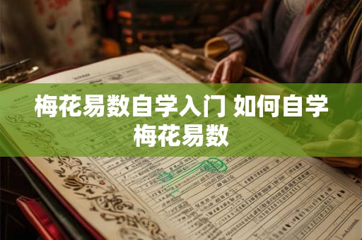 梅花易数自学入门 如何自学梅花易数
