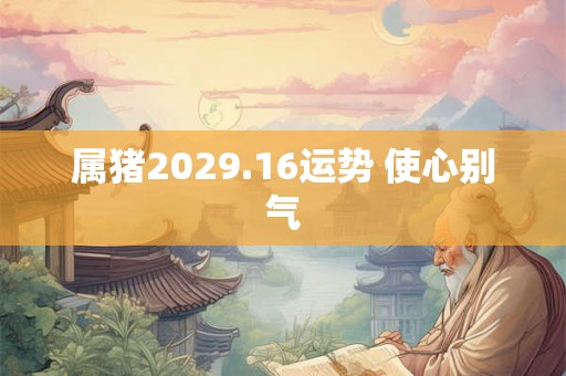 属猪2029.16运势 使心别气