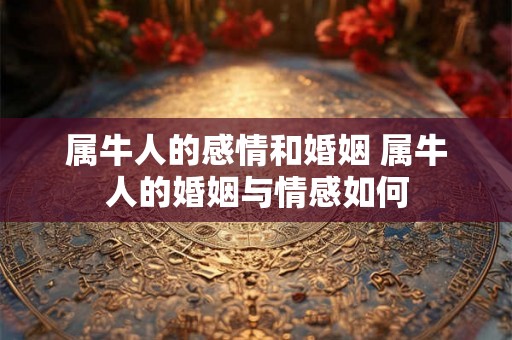 属牛人的感情和婚姻 属牛人的婚姻与情感如何