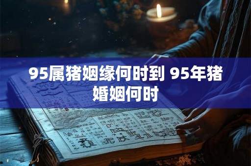 95属猪姻缘何时到 95年猪婚姻何时