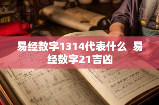 易经数字1314代表什么  易经数字21吉凶