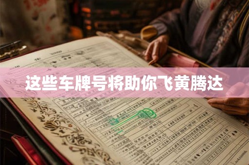 这些车牌号将助你飞黄腾达