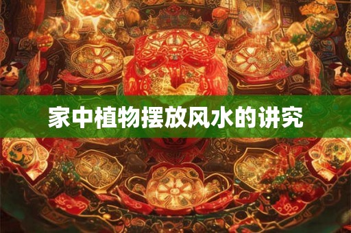 家中植物摆放风水的讲究 家中植物摆放风水的讲究