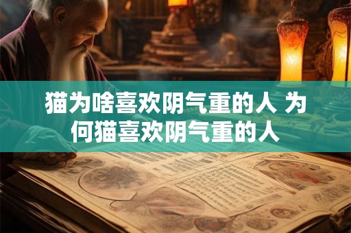 猫为啥喜欢阴气重的人 为何猫喜欢阴气重的人 猫为啥喜欢阴气重的人 为何猫喜欢阴气重的人
