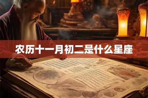 农历十一月初二是什么星座