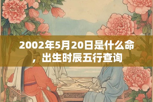 2002年5月20日是什么命，出生时辰五行查询