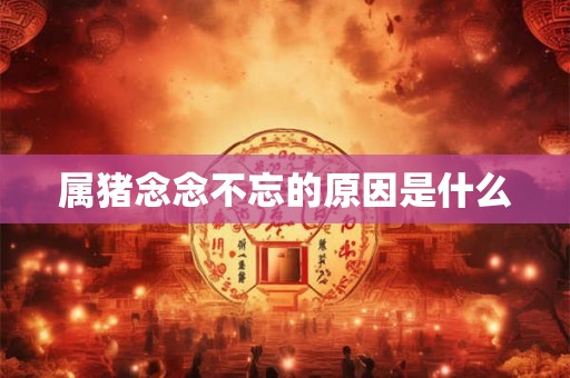 属猪念念不忘的原因是什么