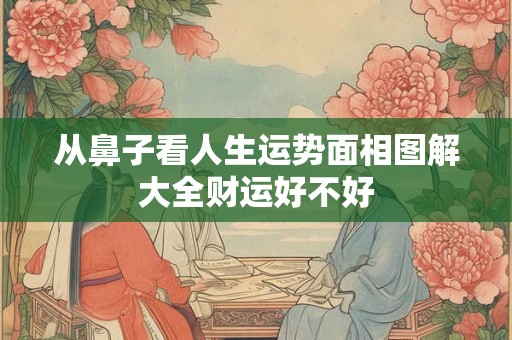 从鼻子看人生运势面相图解大全财运好不好