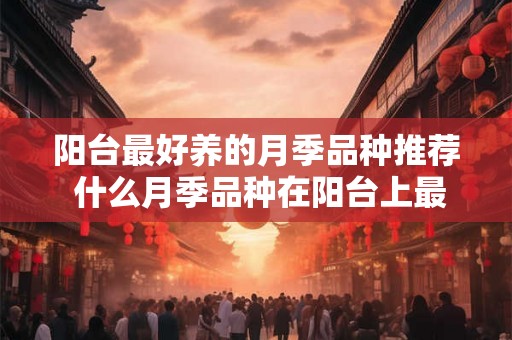 阳台最好养的月季品种推荐 什么月季品种在阳台上最易养活