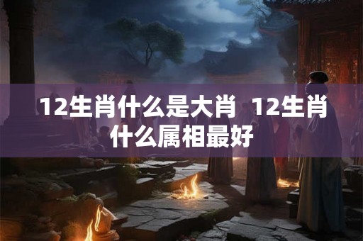 12生肖什么是大肖  12生肖什么属相最好
