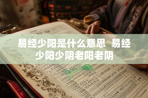 易经少阳是什么意思  易经少阳少阴老阳老阴