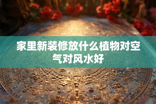 家里新装修放什么植物对空气对风水好