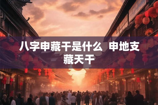 八字申藏干是什么  申地支藏天干