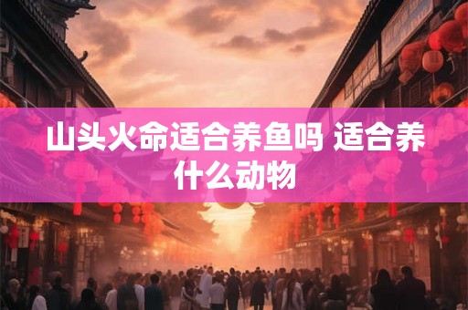 山头火命适合养鱼吗 适合养什么动物
