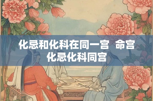 化忌和化科在同一宫  命宫化忌化科同宫