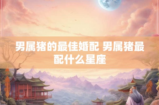 男属猪的最佳婚配 男属猪最配什么星座