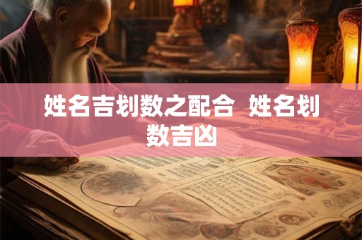 姓名吉划数之配合 姓名划数吉凶 姓名吉划数之配合 姓名划数吉凶