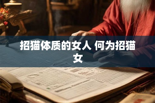 招猫体质的女人 何为招猫女