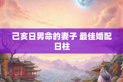 己亥日男命的妻子 最佳婚配日柱