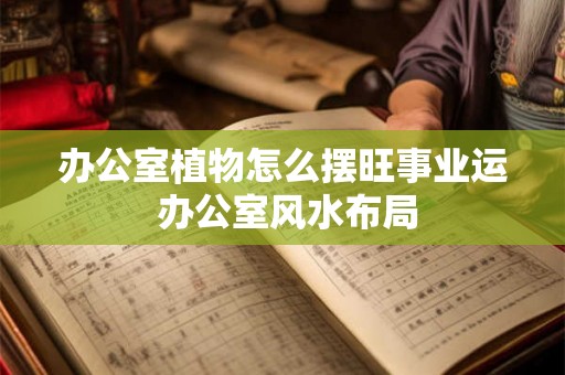 办公室植物怎么摆旺事业运 办公室风水布局 办公室植物怎么摆旺事业运 办公室风水布局