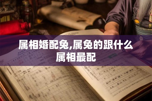 属相婚配兔,属兔的跟什么属相最配