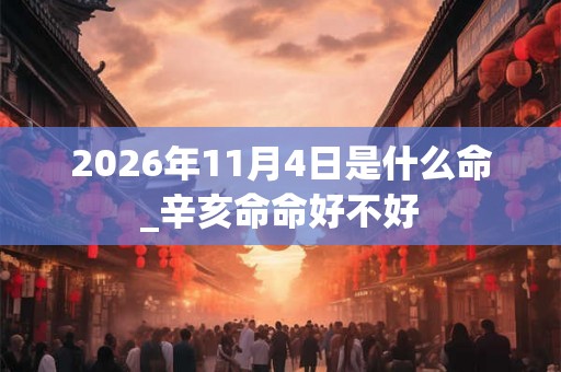 2026年11月4日是什么命_辛亥命命好不好
