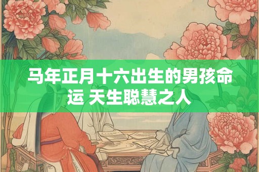 马年正月十六出生的男孩命运 天生聪慧之人