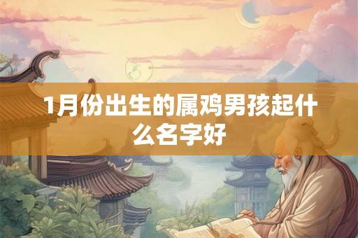 1月份出生的属鸡男孩起什么名字好