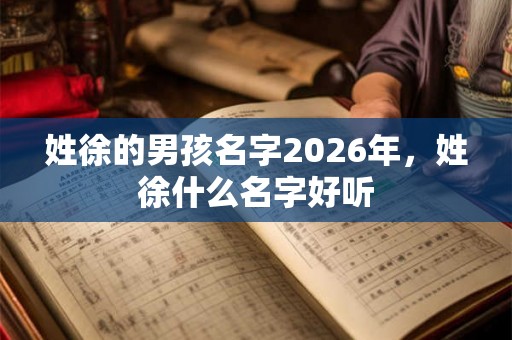姓徐的男孩名字2026年，姓徐什么名字好听