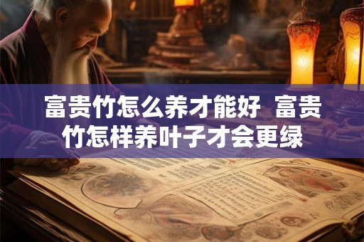 富贵竹怎么养才能好 富贵竹怎样养叶子才会更绿 富贵竹怎么养才能好 富贵竹怎样养叶子才会更绿