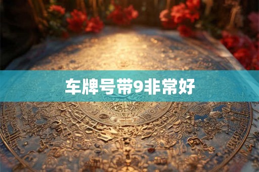 车牌号带9非常好