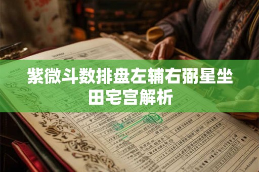 紫微斗数排盘左辅右弼星坐田宅宫解析 紫微斗数排盘左辅右弼星坐田宅宫解析