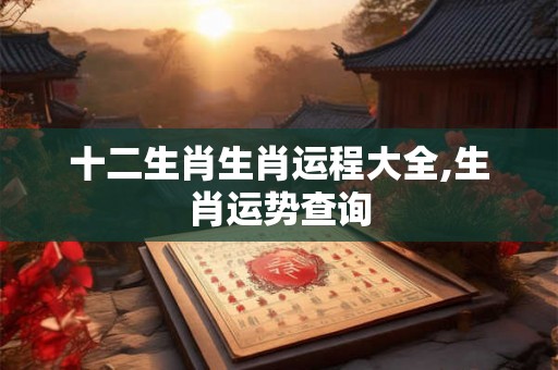 十二生肖生肖运程大全,生肖运势查询 十二生肖生肖运程大全,生肖运势查询