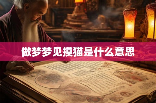 做梦梦见摸猫是什么意思