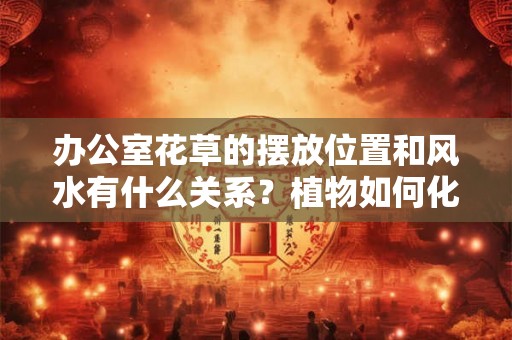 办公室花草的摆放位置和风水有什么关系?植物如何化煞? 办公室花草的摆放位置和风水有什么关系?植物如何化煞?