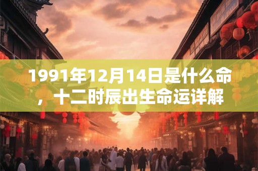 1991年12月14日是什么命，十二时辰出生命运详解