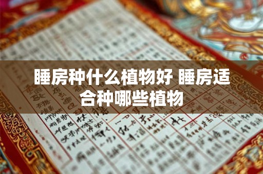 睡房种什么植物好 睡房适合种哪些植物