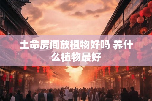 土命房间放植物好吗 养什么植物最好