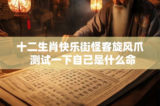 十二生肖快乐街怪客旋风爪  测试一下自己是什么命