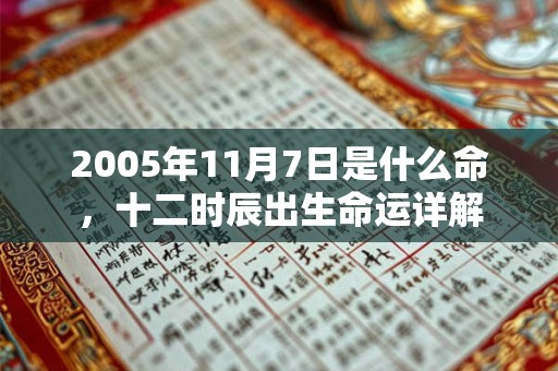 2005年11月7日是什么命，十二时辰出生命运详解