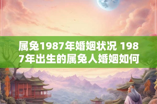 属兔1987年婚姻状况 1987年出生的属兔人婚姻如何