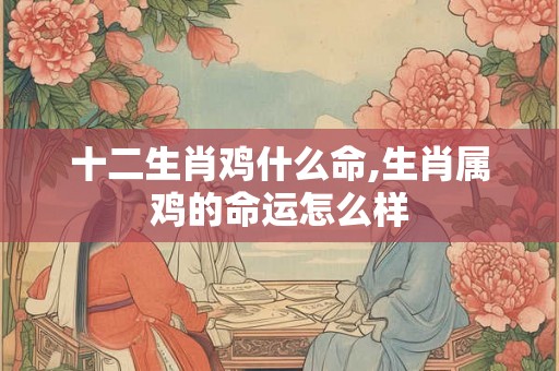 十二生肖鸡什么命,生肖属鸡的命运怎么样