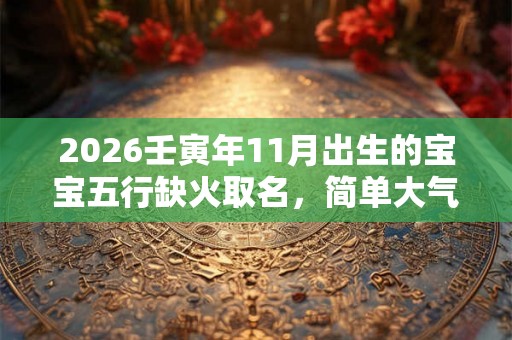 2026壬寅年11月出生的宝宝五行缺火取名，简单大气的名字