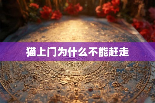 猫上门为什么不能赶走