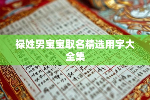禄姓男宝宝取名精选用字大全集