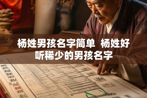 杨姓男孩名字简单  杨姓好听稀少的男孩名字